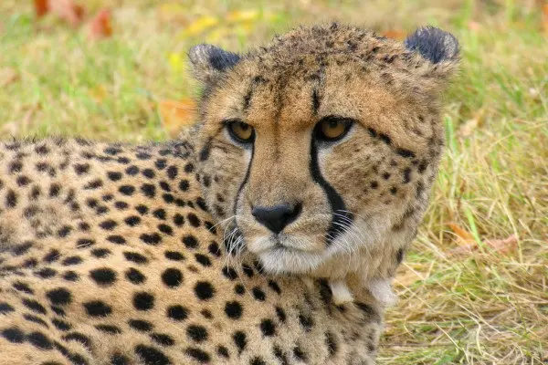 arusha nationalpark tours