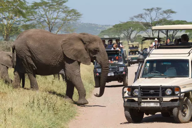 2-Day Serengeti Migration Safari Package