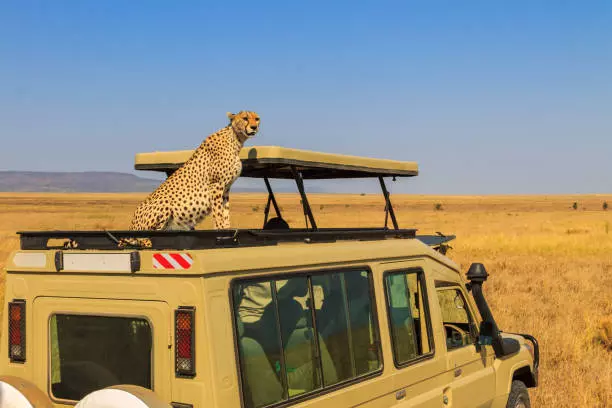 5-Day Serengeti Migration Safari Package