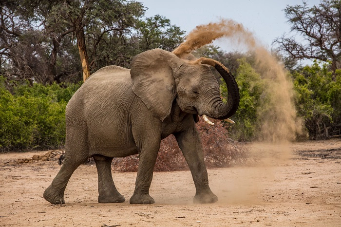 Ngorongoro Crater tour 