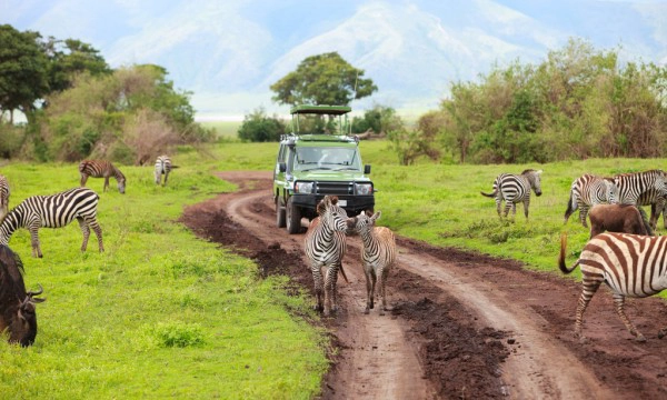 1-day safari tour packages